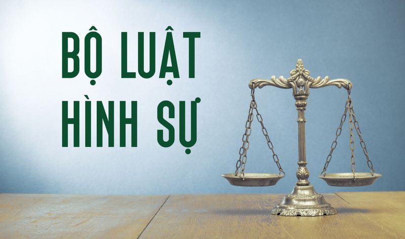 chuyên ngành luật 3