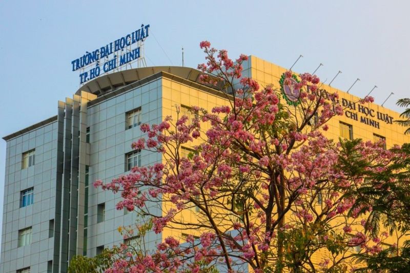 ngành luật học trường nào 4