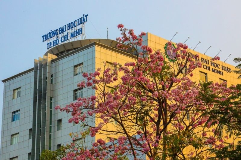 ngành luật thi khối nào 3