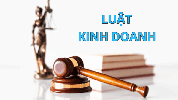Ngành Luật kinh doanh: Tổng hợp những thông tin cần biết