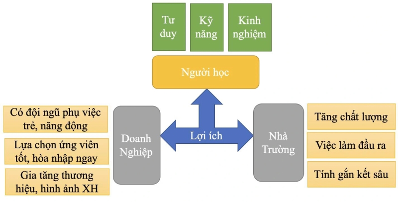 Lợi ích của chương trình dạy và học hợp tác với doanh nghiệp