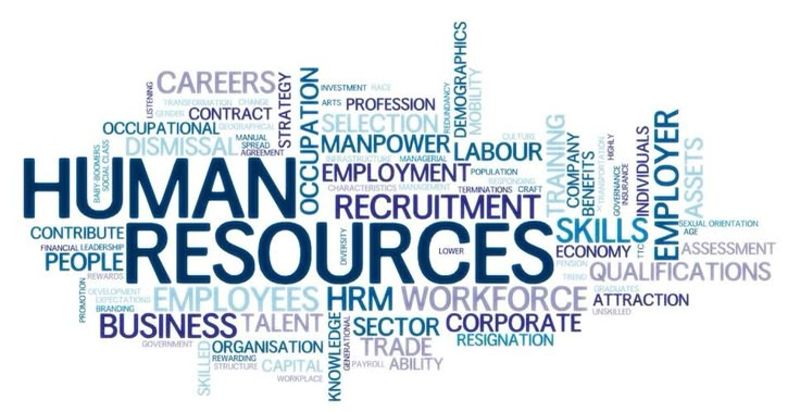 ngành quản trị nhân lực